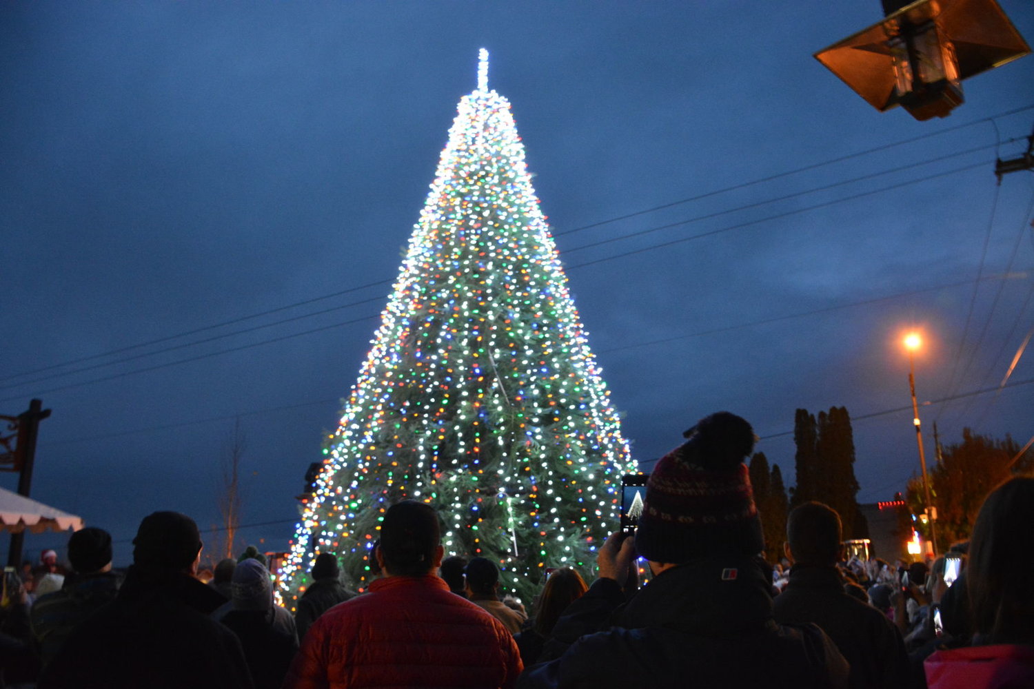 Attendees bask in the glow of Ridgefield's Christmas tree during the 2016 Hometown Celebration.